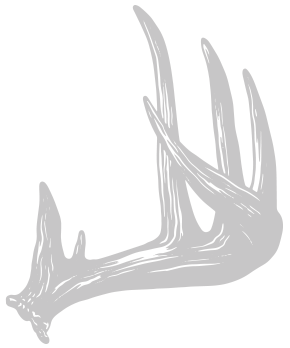 Right Antler